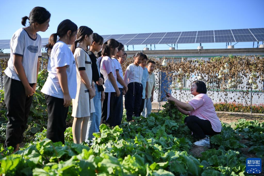 绑定手机自动送38彩金